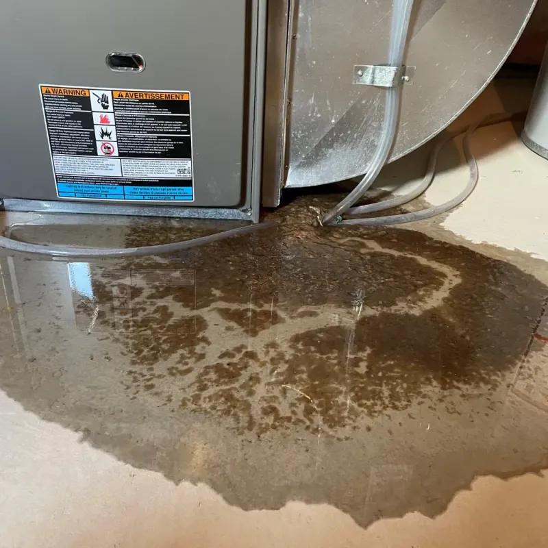 Appliance Leak Cleanup in Arthur, NE